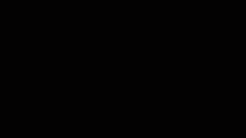 Tan Clan Multimedia animated logo sting